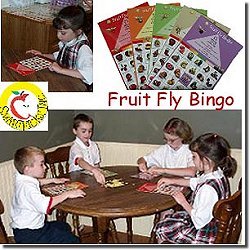 Smart Picks / Fruit Fly Bingo