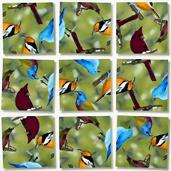 b. dazzle / "North American Birds" Scramble Squares® 9 Piece Puzzle
